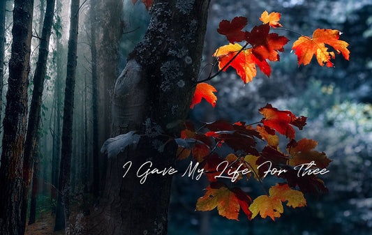 I Gave My Life For Thee
