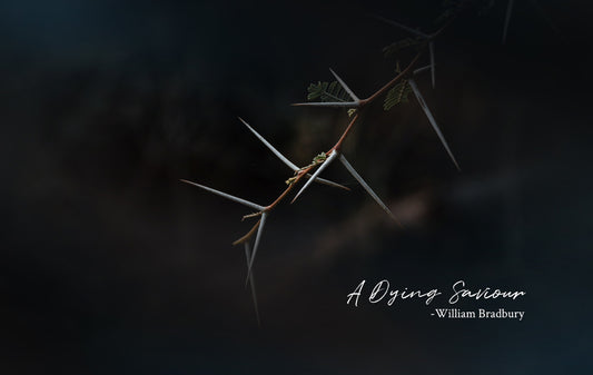 A Dying Saviour- William Bradbury