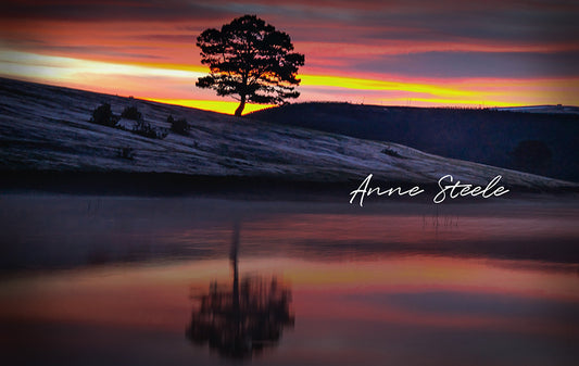 Anne Steele