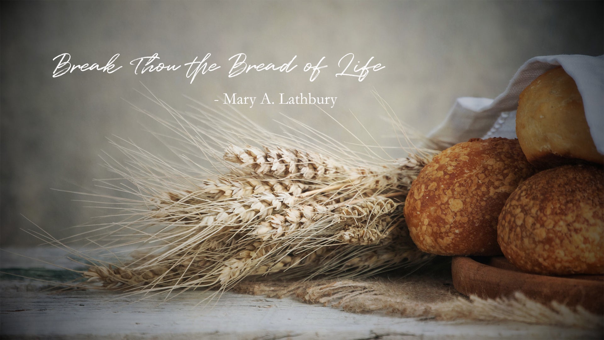 the-bread-of-life-christian-genesis-daily-devotional