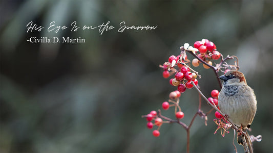 His Eye Is on the Sparrow - Civilla D. Martin
