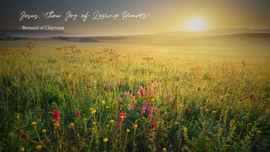 Jesus, Thou Joy of Loving Hearts! - Bernard of Clairvaux (translated by Ray Palmer)