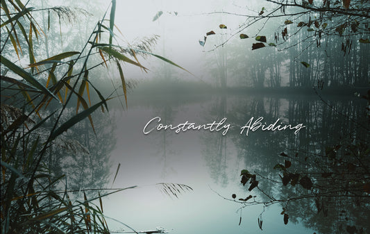 Constantly Abiding