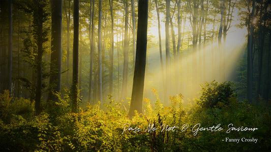 Pass Me Not, O Gentle Saviour -Fanny Crosby