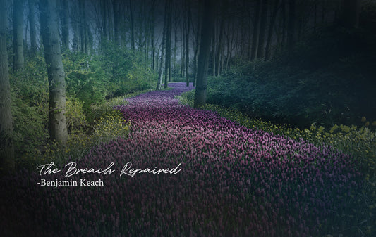 The Breach Repaired - Benjamin Keach