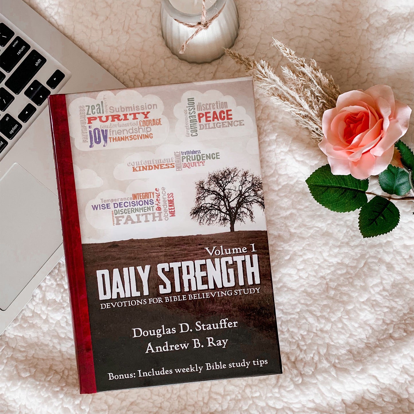Daily Strength v. 1: Devotions for Bible Believing Study