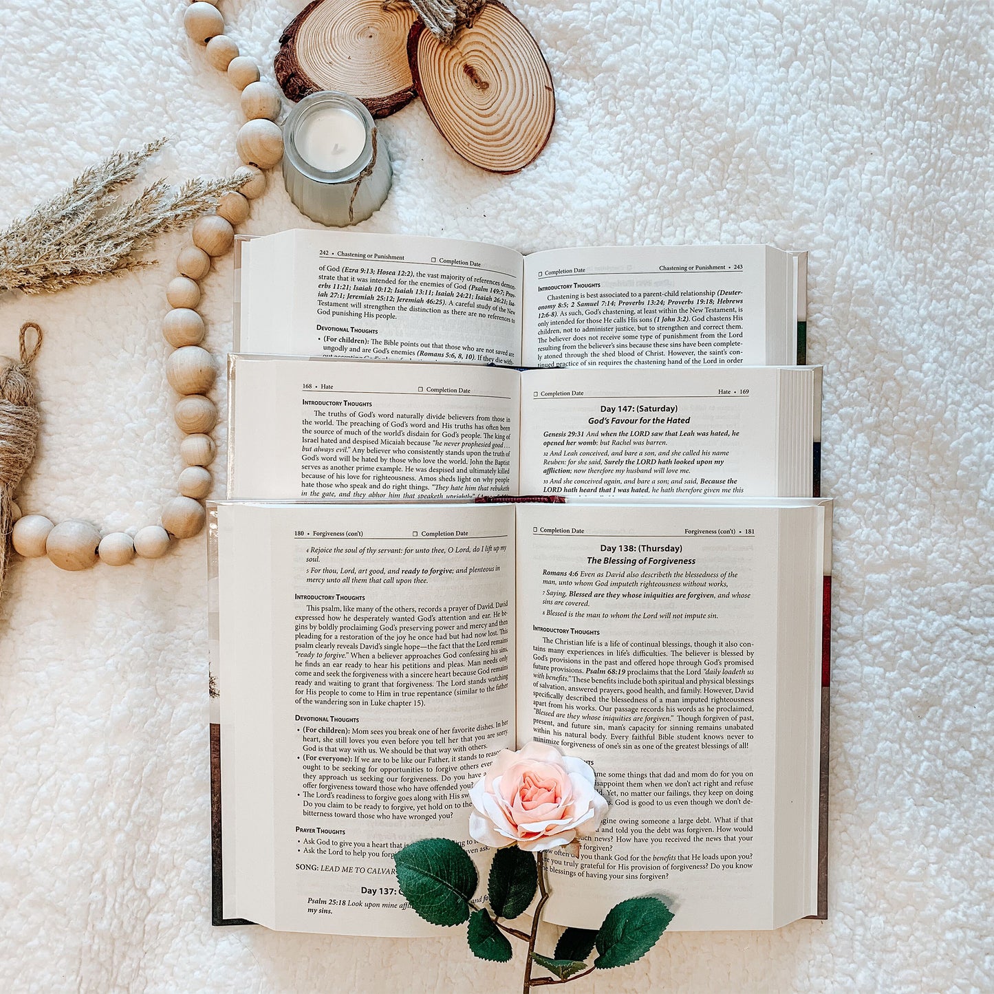 Daily Strength v. 3: Devotions for Bible Believing Study
