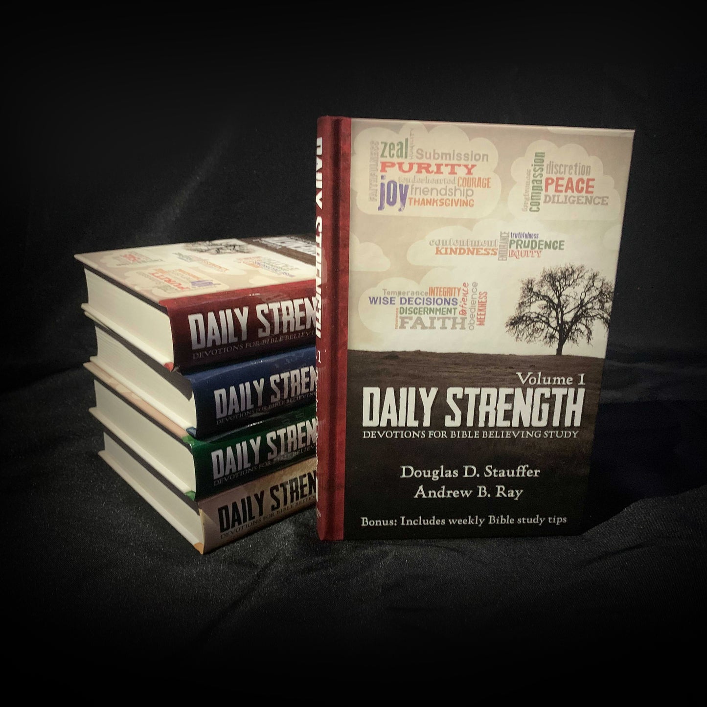 Daily Strength v. 1: Devotions for Bible Believing Study
