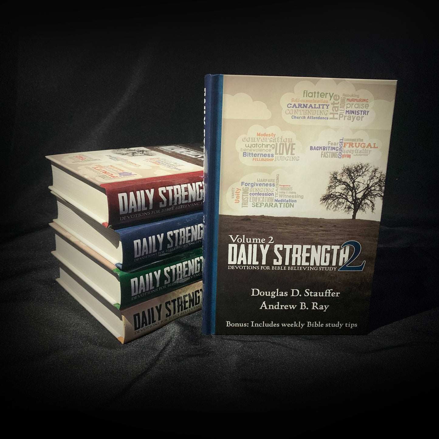 Daily Strength v. 2: Devotions for Bible Believing Study