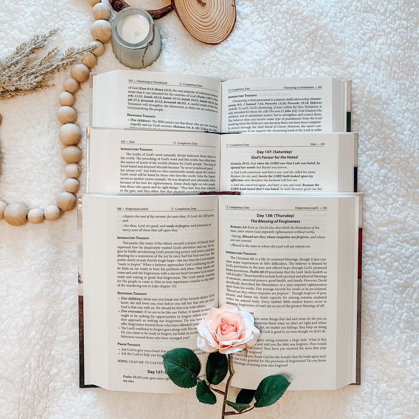 Daily Strength v. 4: Devotions for Bible Believing Study