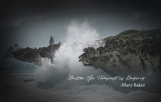 Master, the Tempest is Raging - Mary Baker