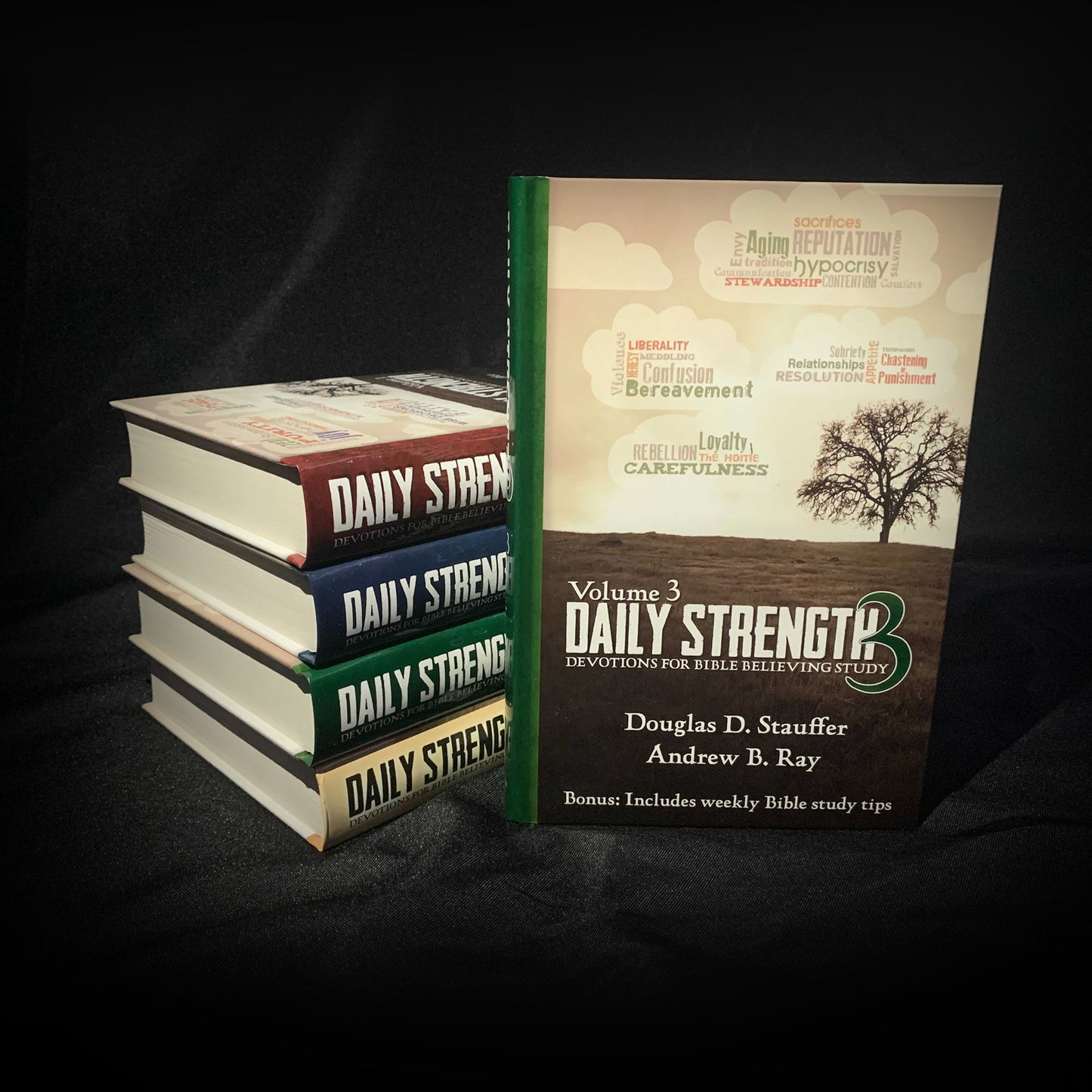 Daily Strength v. 3: Devotions for Bible Believing Study