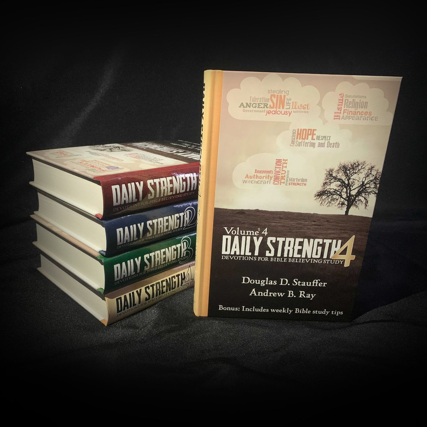 Daily Strength v. 4: Devotions for Bible Believing Study