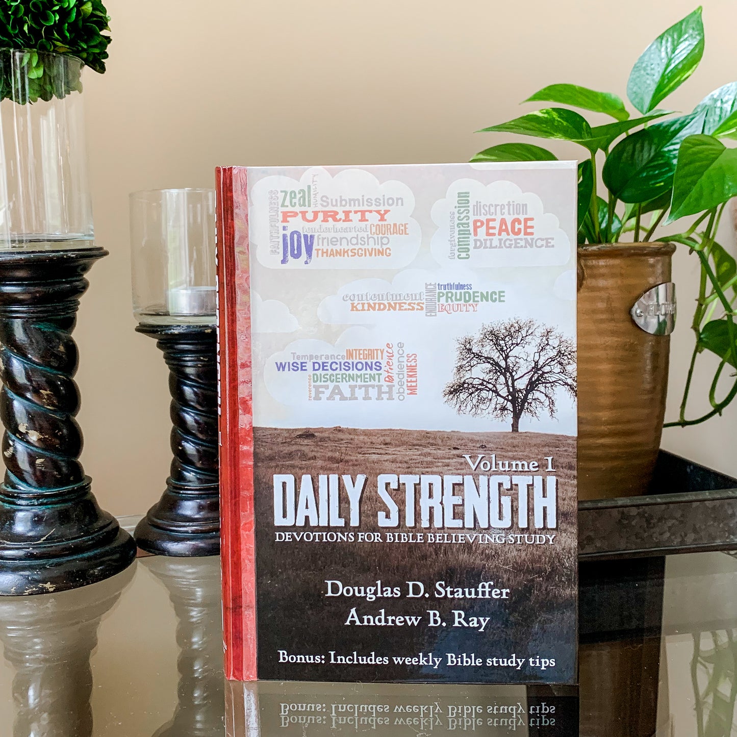 Daily Strength v. 1: Devotions for Bible Believing Study