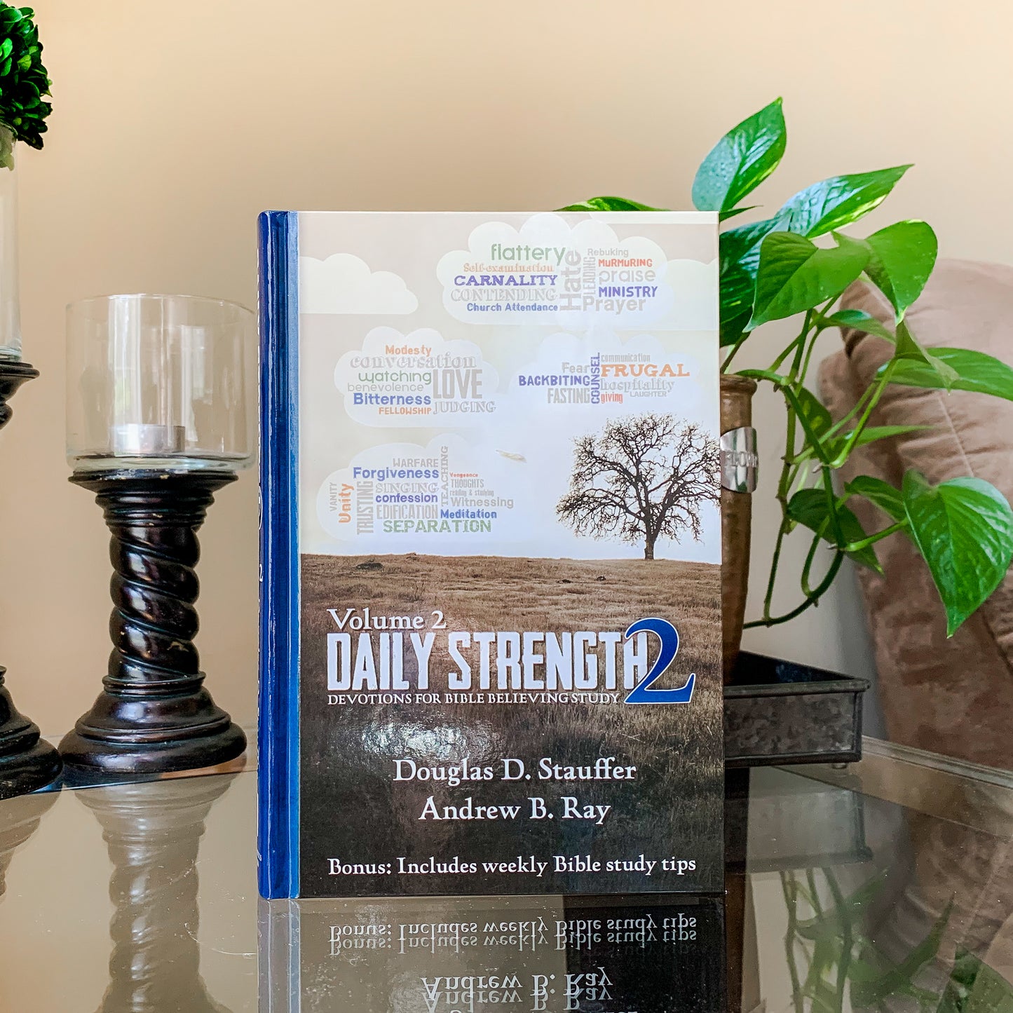 Daily Strength v. 2: Devotions for Bible Believing Study